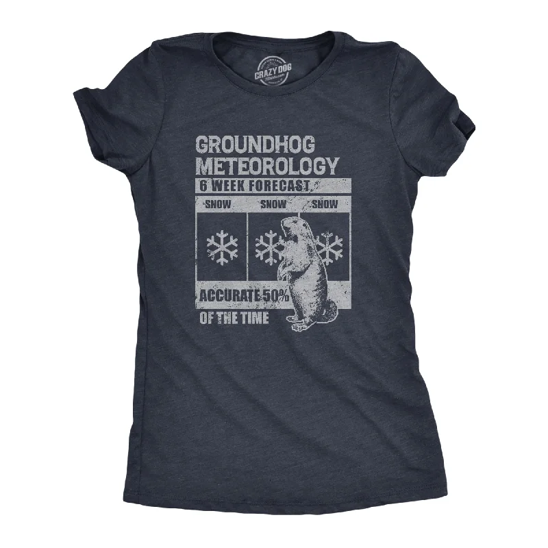 Groundhog Meteorology Women's T Shirt-- Sequined Glittery Shiny